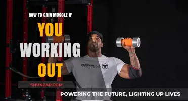 Effective Muscle-Building Strategies for Your Workout Routine
