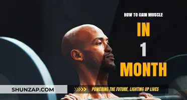 Effective Strategies to Build Muscle Mass in Just One Month