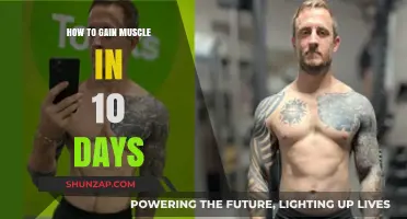 Quick Muscle Building: 10-Day Strategies for Visible Gains