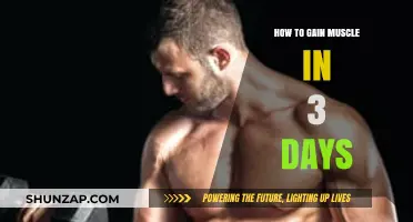 Quick Muscle Building: 3-Day Strategies for Visible Gains