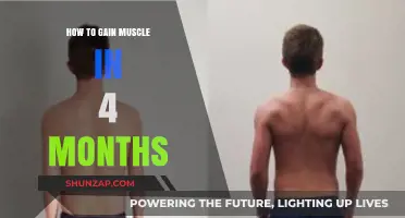 Effective Muscle Building Strategies for Visible Results in Four Months