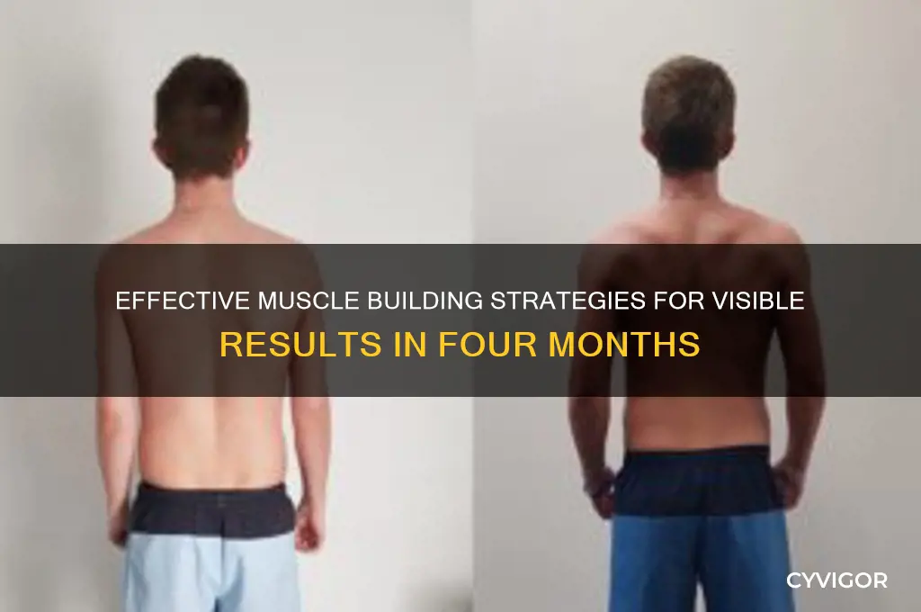 how to gain muscle in 4 months