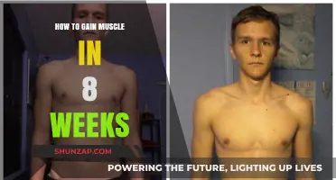 Effective 8-Week Muscle Building Plan for Rapid Strength Gains