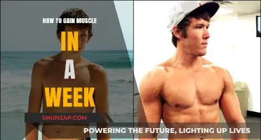 Quick Muscle Gains: Effective Strategies for Weekly Strength Building