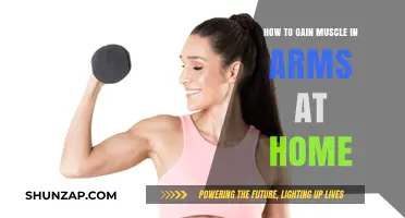 Effective Arm Muscle Building: Home Workouts for Stronger Arms