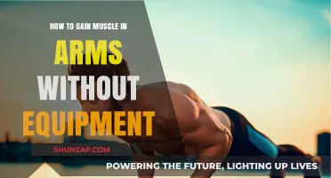 Build Stronger Arms: Equipment-Free Muscle-Building Techniques for Toned Arms