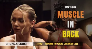 Effective Back Muscle Building: Tips and Exercises for Strength and Size