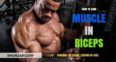 Effective Biceps Workouts and Tips for Building Bigger, Stronger Arms