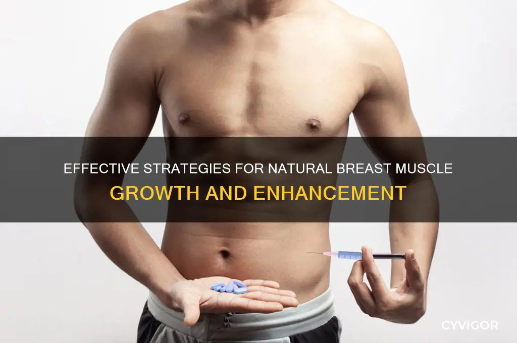 how to gain muscle in breast