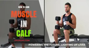 Effective Calf Muscle Building: Tips and Exercises for Stronger Legs