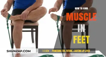 Effective Foot Muscle Building Techniques for Strength and Stability