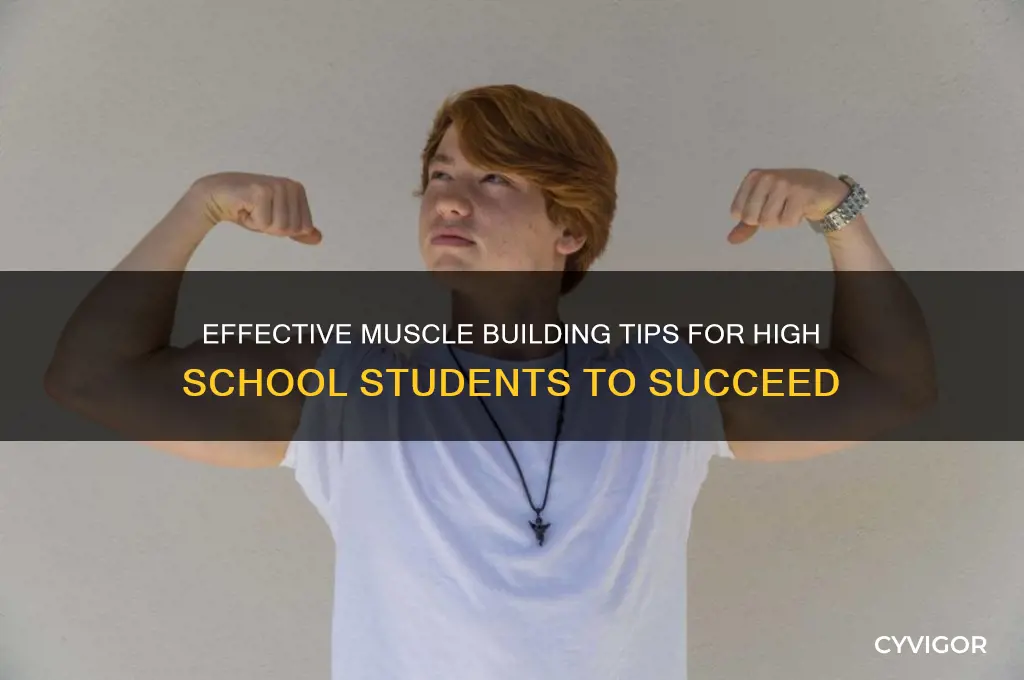 how to gain muscle in high school