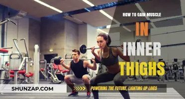 Effective Inner Thigh Muscle Building: Tips and Exercises for Strength