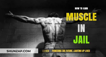 Building Strength Behind Bars: Effective Muscle-Gaining Strategies for Inmates
