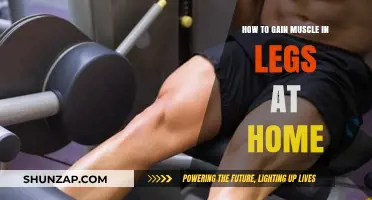 Effective Home Workouts for Building Stronger, Muscular Legs Fast