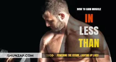 Quick Muscle Building: Effective Strategies for Rapid Gains