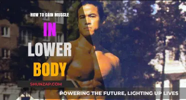 Effective Lower Body Muscle Building: Tips and Strategies for Strength