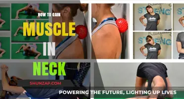 Effective Neck Muscle Building: Strengthen and Define Your Neck Safely
