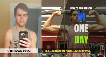 Quick Muscle Gains: One-Day Strategies for Visible Results
