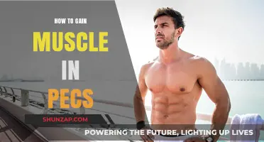 Effective Strategies to Build Stronger, Bigger Pecs Naturally