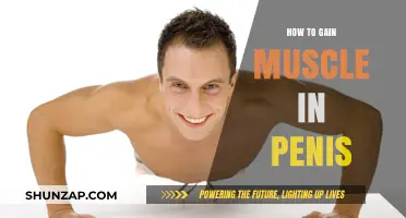 Effective Strategies for Enhancing Penile Muscle Growth Naturally