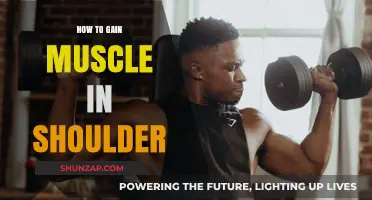 Effective Shoulder Muscle Building: Tips and Exercises for Strength and Size