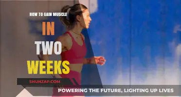 Quick Muscle Gains: Effective Strategies for Results in Two Weeks