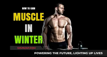 Winter Muscle Building: Effective Strategies for Cold-Weather Gains