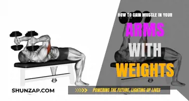 Effective Arm Muscle Building: Weight Training Tips for Stronger Arms