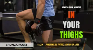 Effective Thigh Muscle Building: Exercises, Nutrition, and Recovery Tips