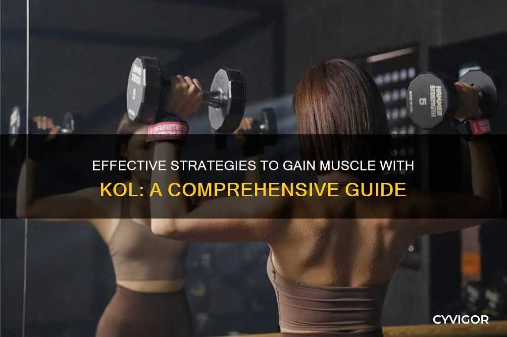 how to gain muscle kol
