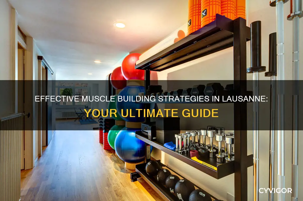 how to gain muscle lausanne