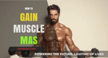 Effective Strategies to Build Muscle Mass and Strength Fast