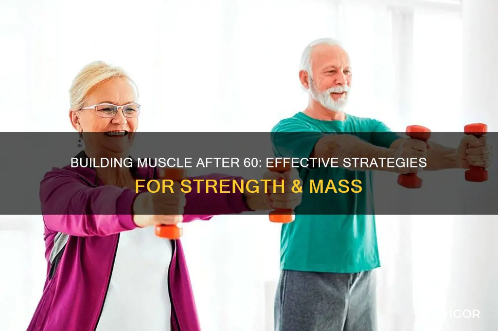 how to gain muscle mass after 60