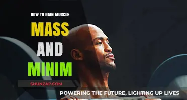 Effective Strategies to Build Muscle Mass and Minimize Fat Quickly
