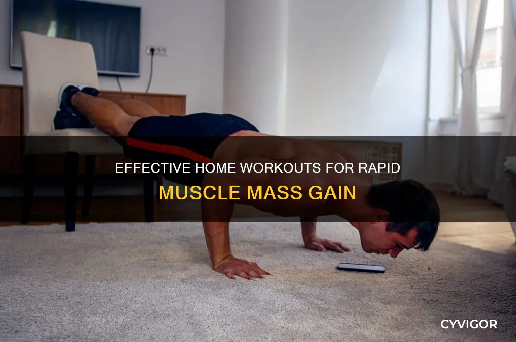 Effective Home Workouts For Rapid Muscle Mass Gain | CyVigor