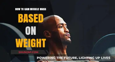 Effective Weight-Based Strategies to Build Muscle Mass Fast