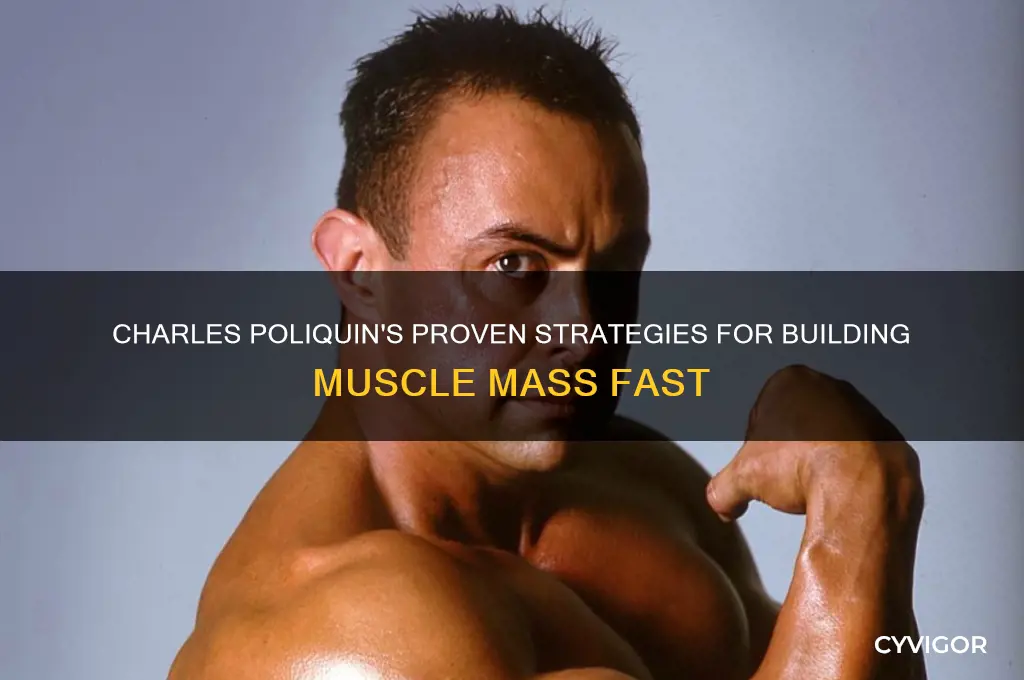 how to gain muscle mass charles poliquin
