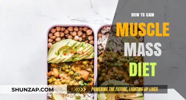 Effective Muscle Mass Diet Plan for Optimal Growth and Strength