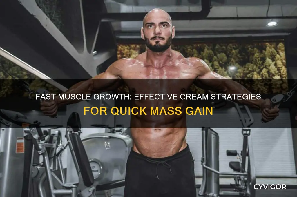 Fast Muscle Growth: Effective Cream Strategies For Quick Mass Gain ...