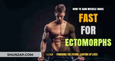 Ectomorph Muscle Gain: Fast Strategies for Building Mass Quickly