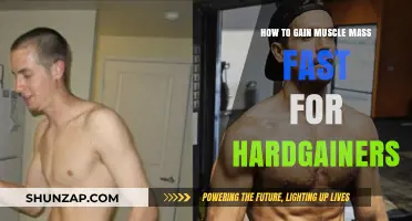 Proven Strategies for Hardgainers to Build Muscle Mass Quickly