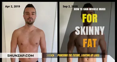 Skinny Fat to Muscular: Proven Strategies for Building Muscle Mass