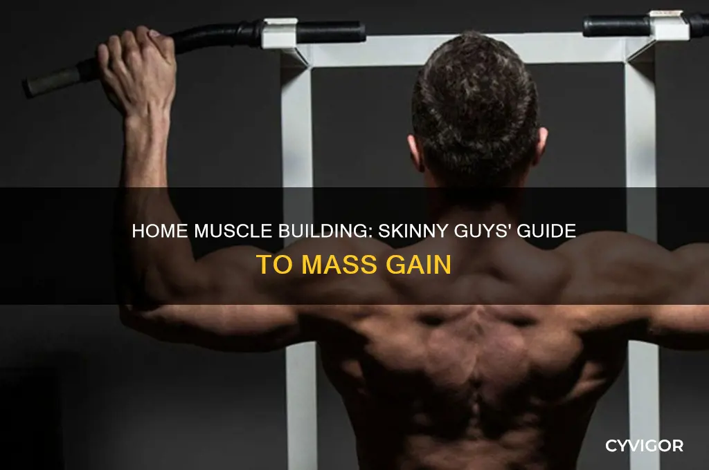 how to gain muscle mass for skinny guys at home