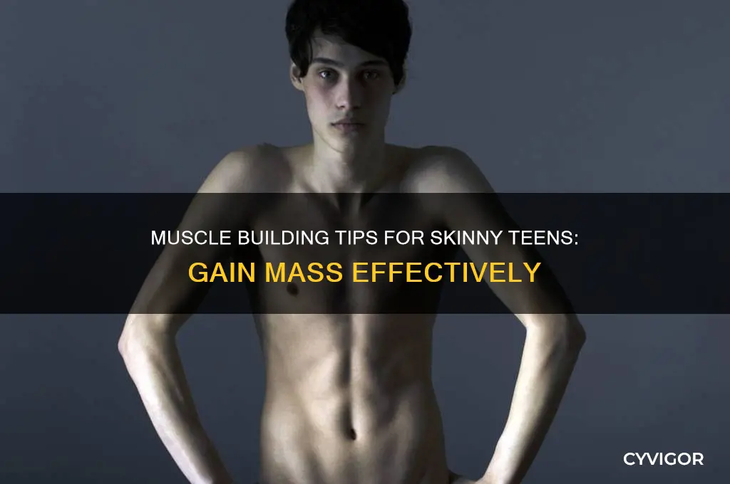 how to gain muscle mass for skinny teens