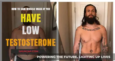Boost Muscle Growth Despite Low Testosterone: Effective Strategies for Mass Gain