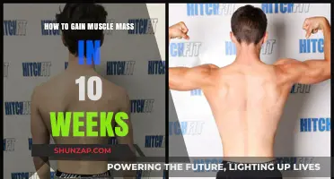 Effective 10-Week Muscle Mass Building Strategies for Quick Results