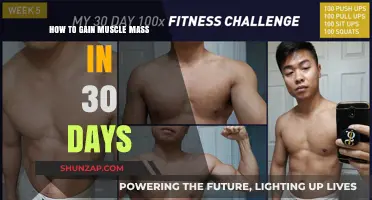 Effective 30-Day Muscle Building Plan for Rapid Mass Gain