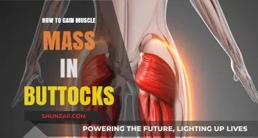 Effective Buttock Muscle Building: Exercises, Diet, and Tips for Growth