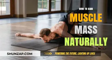Natural Muscle Building: Effective Strategies for Healthy Mass Gain